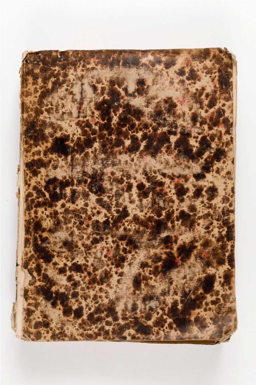 Lettere della Santa Madre Teresa di Giesu. 1721