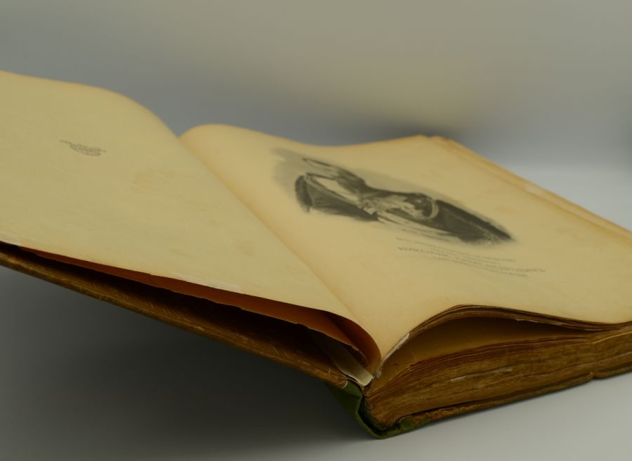 Отечественная война 1812